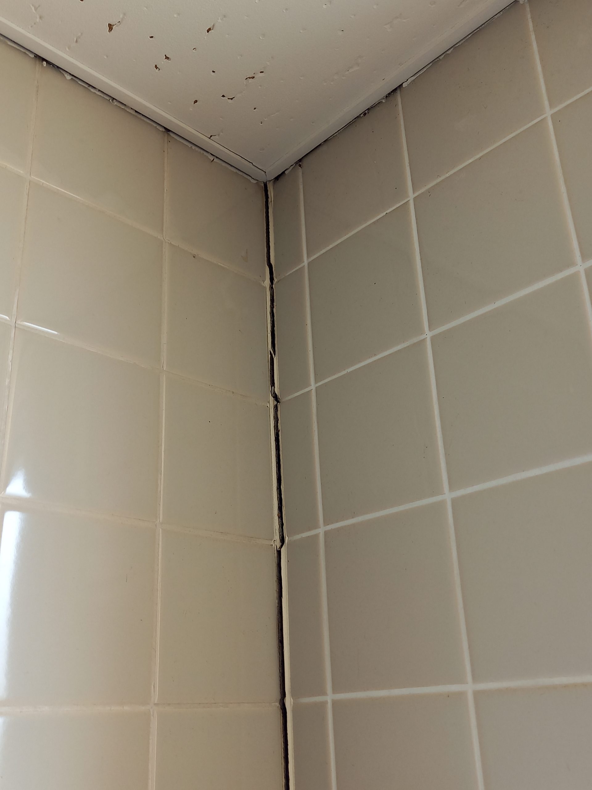 2階トイレ 壁タイルひび割れ 2 有限会社エース